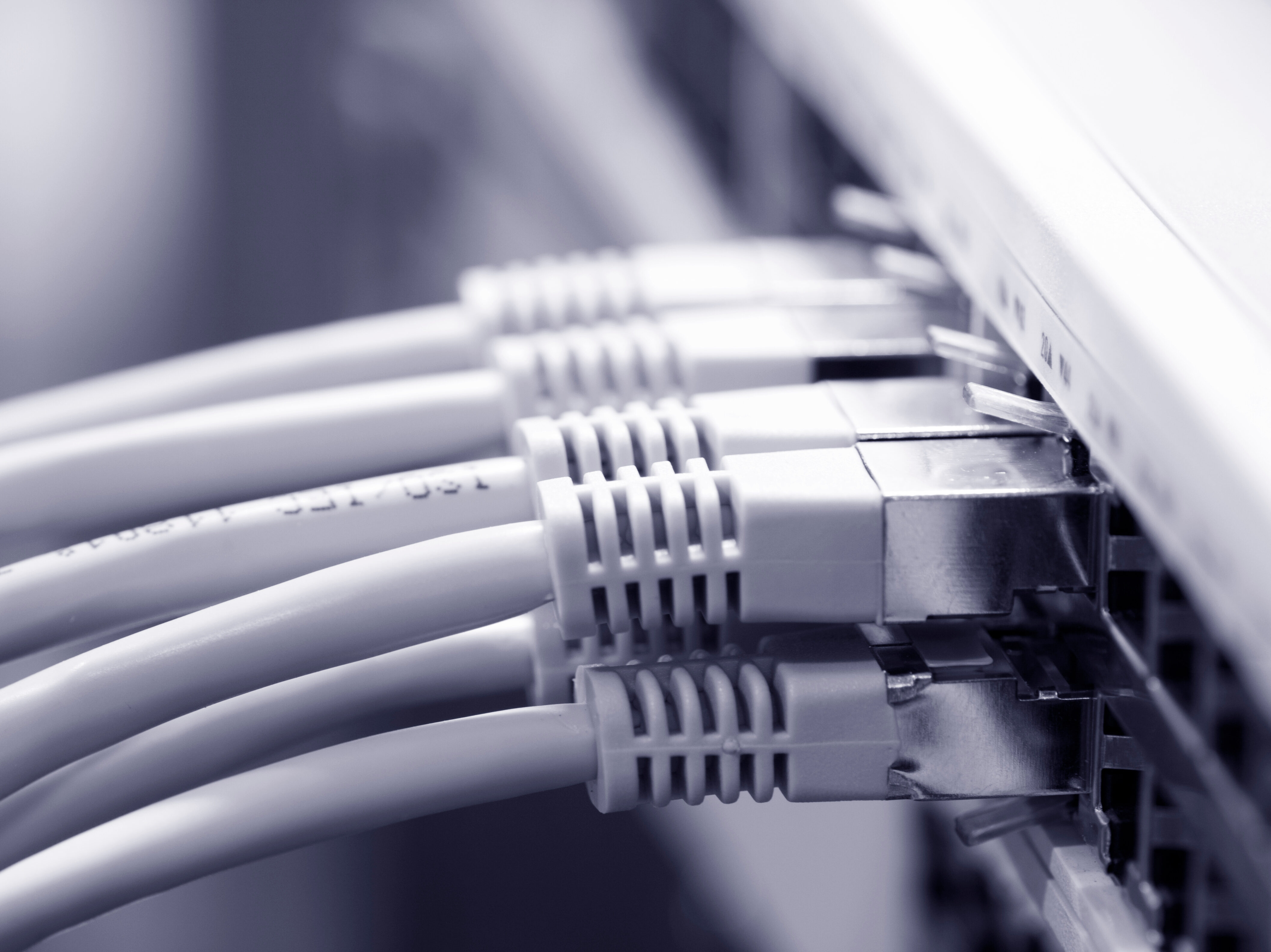 lan cables connected to a switch